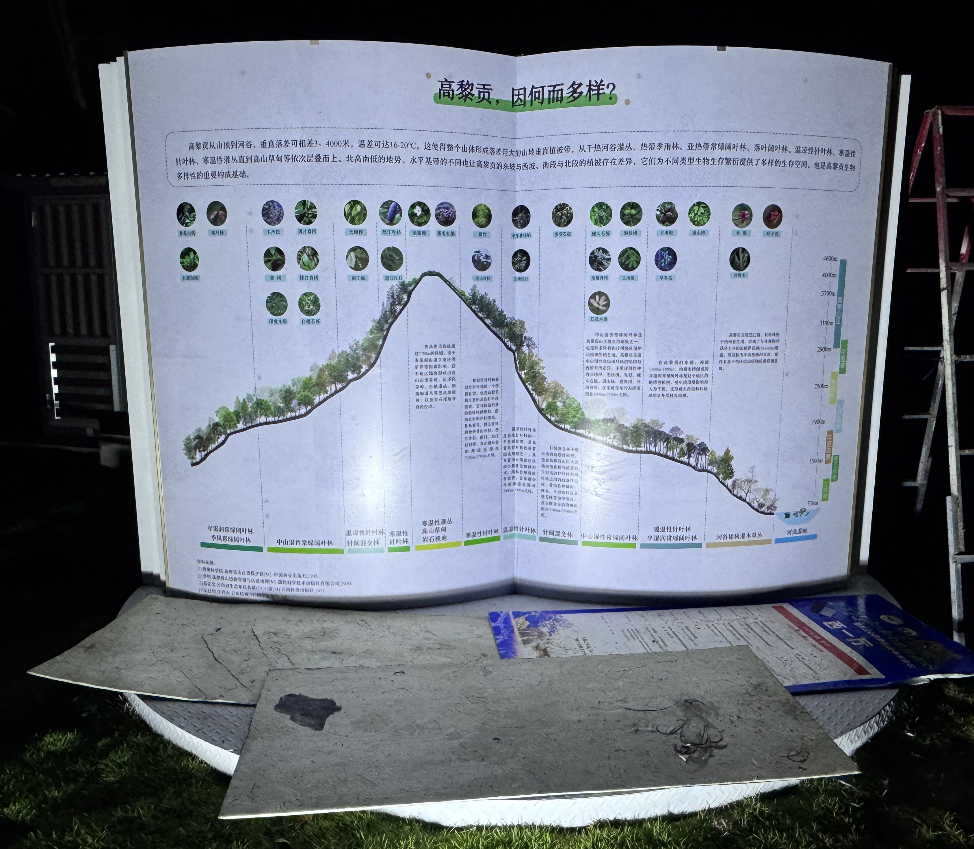 昆明铁艺异形书本制作